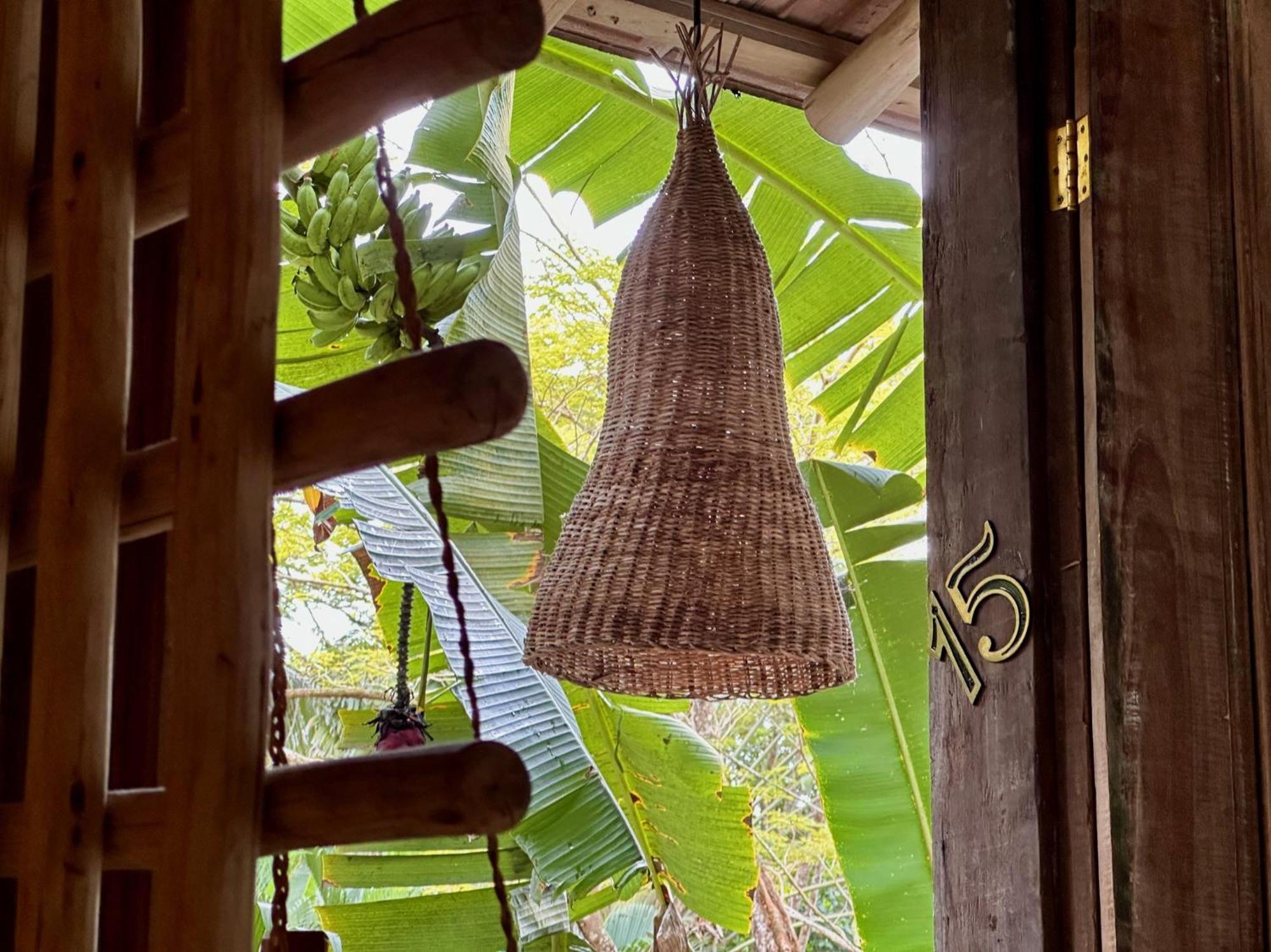 Soleluna Casa Pousada トランコーゾ エクステリア 写真